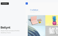 Beliynt v2.1 Modern Multi-Conceptual Portfolio