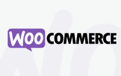 Email Customizer for WooCommerce v3.33