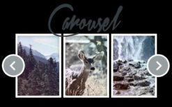 iThemes DisplayBuddy Carousel v2.0.36