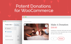 Potent Donations For Woocommerce v1.1.12 [Wp Zone]