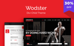 Wodster Theme v1.1.7 [Wp Zone]