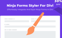 Ninja Forms Styler For Divi v1.0.4 [Wp Zone]