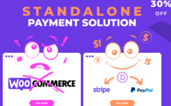 Simple Payment Module for Divi v1.1.11 [Wp Zone]