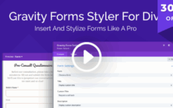 Gravity Forms Styler For Divi v1.0.6 [Wpzone]