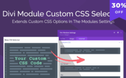 Divi Module Custom CSS Selectors v1.0.3 [Wpzone]