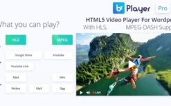bzplayer Pro v2.1 Live Streaming Player WordPress Plugin