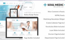 SoulMedic | Hospital & Doctor WordPress Theme v4.9