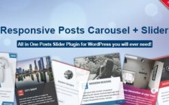 Responsive Posts Carousel WordPress Plugin v.14.1