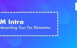 TM Intro v.1.1 – User Onboarding Tour Addon For Elementor