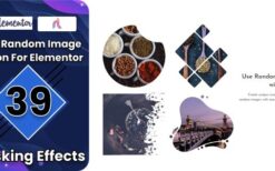 BWD Random Image Addon For Elementor v1.0