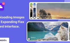 Wiloke Expanding Flex Cards Elementor Addon v1.0.0