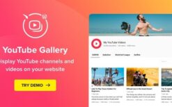 WordPress YouTube Gallery (Yottie) v3.5.0 YouTube Plugin by Elfsight