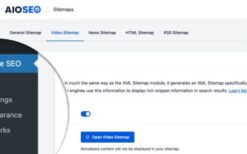 AIOSEO – Video Sitemap v1.1.13