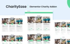 CharityEase v1.0.0 Elementor Charity Addon