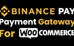 Binance Pay Payment Gateway for WooCommerce (v1.0.2)