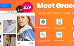 Grace v1.2.8 WordPress Photo Feed of Instagram Posts