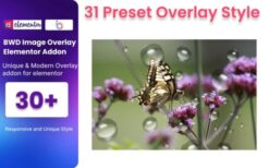 Image Overlay For Elementor v1.0