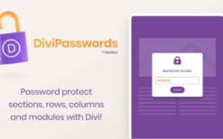Divi Passwords Protected v1.0.0