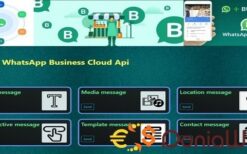 WhatsApp Cloud Business API integration .Net Core (with use example) v1.0