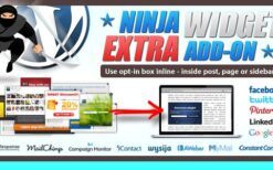 Ninja Widget Extra Add-on v1.3