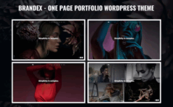 Brandex v1.0 One Page Portfolio WordPress Theme