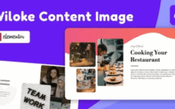 Wiloke Content Image Widget for Elementor v1.0.23