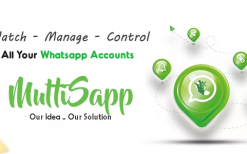 MultiSapp Multi Whatsapp Manager v1.2