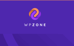 [WP Zone] Divi Themes