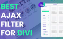 Divi Ajax Filter v4.0.11