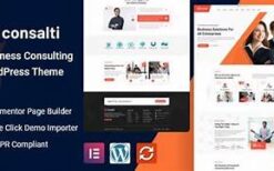 Consalti v2.0.0 Consultancy & Business WordPress Theme