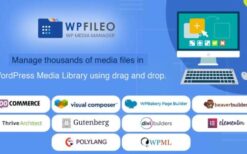 WPFileo Pro v1.0 WordPress Media Library Plugin