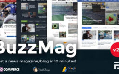 BuzzMag v2.3 Viral News WordPress Magazine/Blog Theme