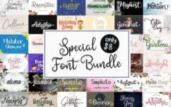 Special Font Bundle Includes 39 Fonts 2022-09-27