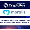 Moralis Converter API for CryptoPay WooCommerce v1.0.1