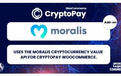 Moralis Converter API for CryptoPay WooCommerce v1.0.1