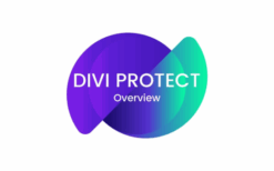 Divi Protect v2.3 Password Protect a section in Divi using Divi Protect Plugin