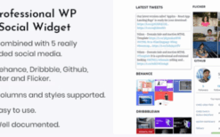 Professional WP Social Widget Plugin v.1.2