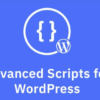 Advanced Scripts by Clean Plugins v2.5.2