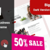 Buscom v1.2.0 Business Consulting WordPress
