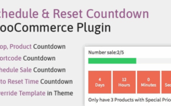 Schedule, Reset Countdown Plugin | WooCP v1.0.0