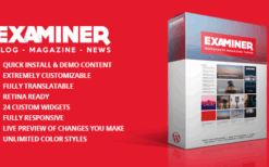Examiner Magazine Theme (v1.5.3)