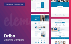 Dribo — Cleaning company Sketch Template