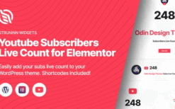 Struninn v1.0.1 Youtube Subscribers Live Count