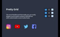 Pretty Grid v1.1.4 – WordPress Social Feed Gallery Plugin
