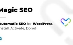 Magic SEO v20250307 Automatic WordPress SEO