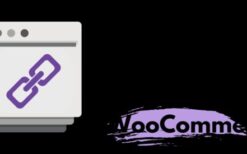 Custom Permalinks for WooCommerce v1.2.0 [Active]