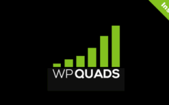 * WP QUADS PRO v2.0.19 Quick Google AdSense Integration for WordPress