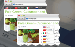 Prisna WP Translate v1.15.28