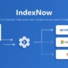 AIOSEO IndexNow v1.0.11