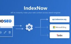 AIOSEO IndexNow v1.0.11